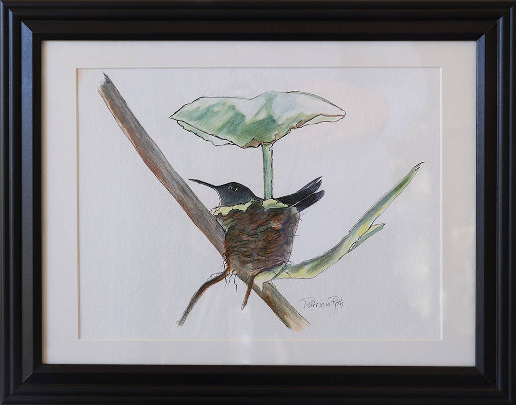 Bird in Nest, watercolor by Patricia Roth