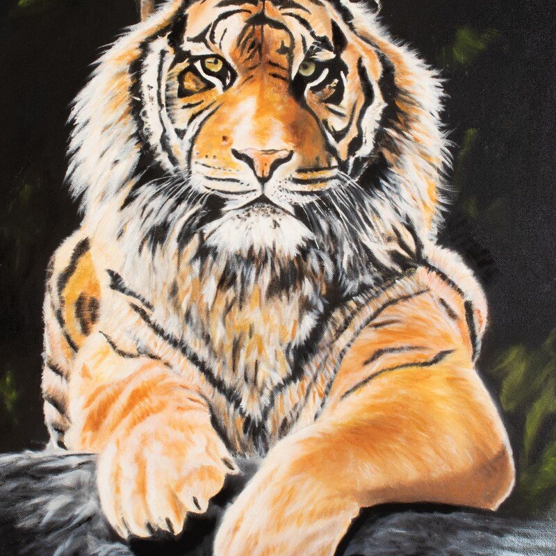 Tiger, painting by Patricia Roth