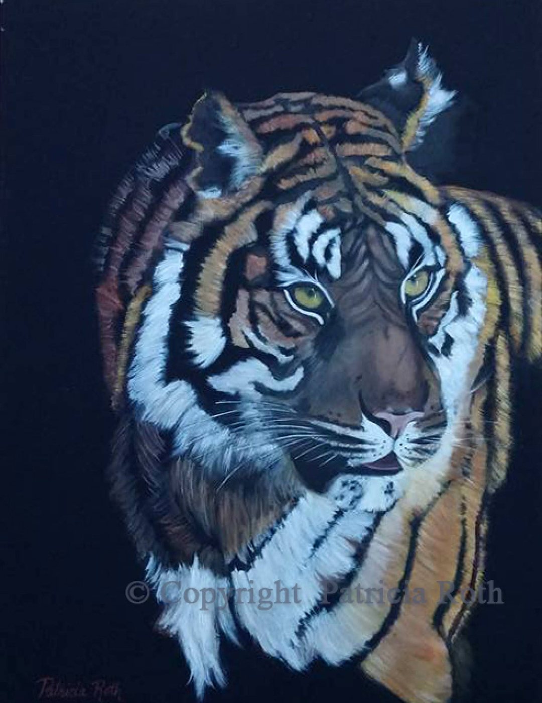 Tiger on Black, painting by Patricia Roth