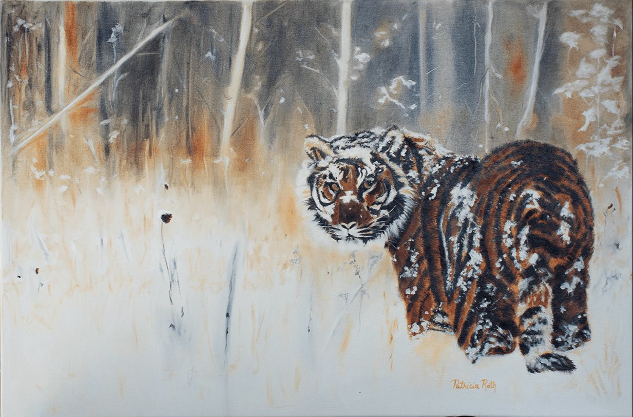 Tiger in the Snow, painting by Patricia Roth